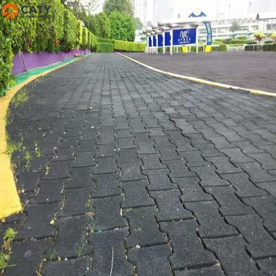 Kolay Kurulum ve Kaymaz Köpek Kemik Lastik Karoları Dış Mekan Yürüyüş Yolları ve Fitness Parkuru İçin